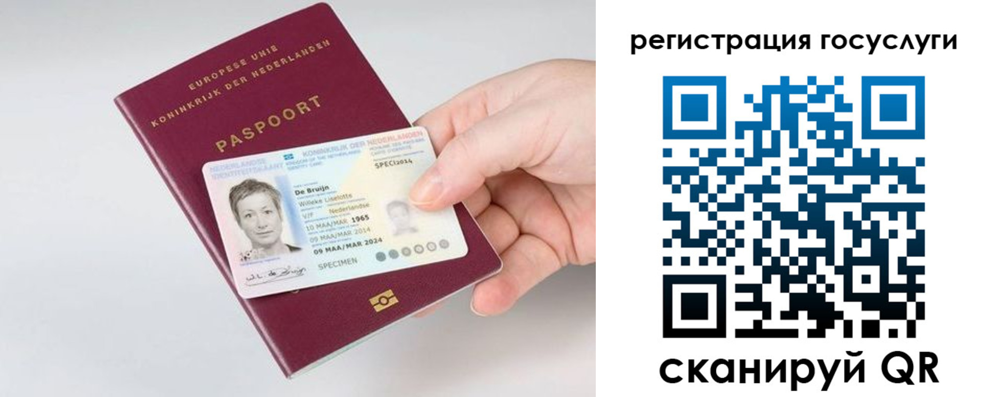регистрация для дет. сада в Бабаево