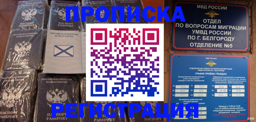 прописка гарантия в Бабаево